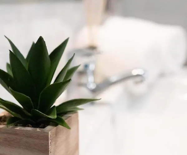 Elsas Place 公寓 *