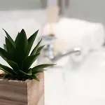 Elsas Place Apartman *