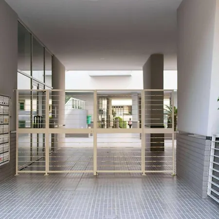 Elsas Place